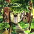 eynsham_graveyard_1