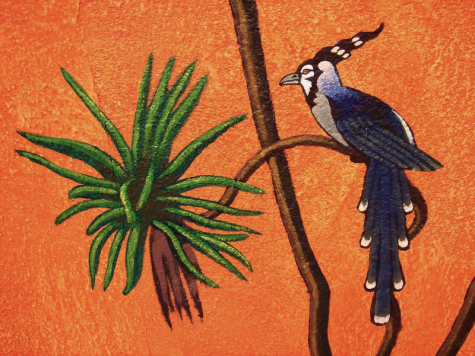 bird